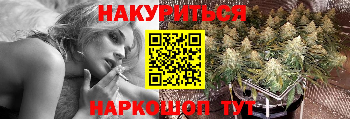 Марихуана индика  Бошки марихуана план  Вход с VPN  Клин 